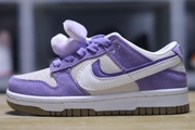 Kids Dunk SB F60